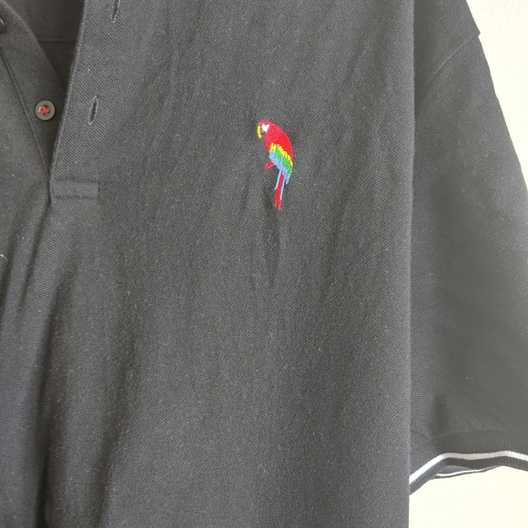 Polo - Picture 3 of 4